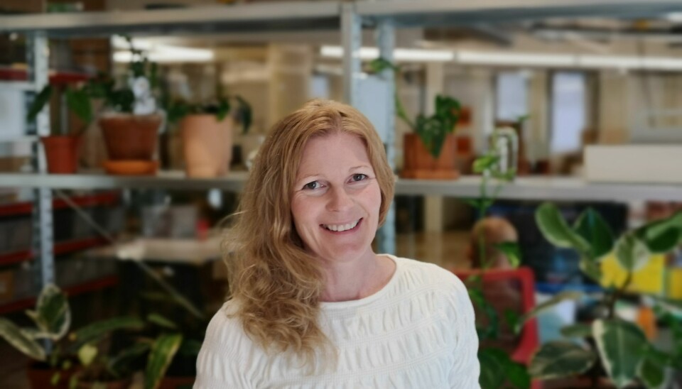 Jeg har et håp om at Generasjonspartiet til Gyda Oddekalv kan få litt vind i seilene