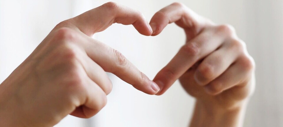 Minimal Lovable Product, ikke bare Minimal Viable Product